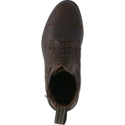 Kavalkade Jodphurs Romulus Bruin -Pikeur || Cavallo || Dublin Verkoopwinkel agradi 44577406 2.1486ea