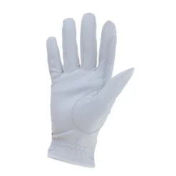 Haukeschmidt Rijhandschoen Galaxy Magic Tack Wit 7 -Pikeur || Cavallo || Dublin Verkoopwinkel agradi 44696721 2.d8cc31