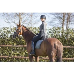 ANKY Shirt Mockneck Dark Shadow XXS -Pikeur || Cavallo || Dublin Verkoopwinkel anky a67285 b213 41.51004a