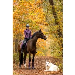 BR Jas Barbara Kort Blackberry Wine XXS 9 BR Jas Barbara Kort Blackberry Wine XXS -Pikeur || Cavallo || Dublin Verkoopwinkel bieman 684191 p088 41.4a7920