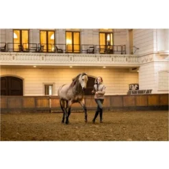 BR Jas Dana Taupe Gray 5 BR Jas Dana Taupe Gray -Pikeur || Cavallo || Dublin Verkoopwinkel bieman651198 n157 41.3edf44