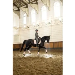 BR Jas Deborah Beluga -Pikeur || Cavallo || Dublin Verkoopwinkel bieman684209 g073 41.df3334