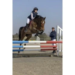 EQUITHÈME Bodywarmer Pro Series Piaffer Navy -Pikeur || Cavallo || Dublin Verkoopwinkel ekkia 978 648 072 ambi7.0e0289