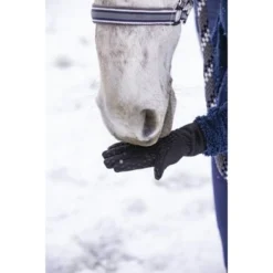EQUITHÈME Handschoenen Winter Zwart XXS -Pikeur || Cavallo || Dublin Verkoopwinkel ekkia equitheme hiver digital handschoenen 3.088952