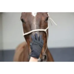 Racer Handschoenen Evolution Zwart -Pikeur || Cavallo || Dublin Verkoopwinkel ekkia racer evolution traininghandschoenen.cfe530