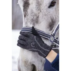 EQUITHÈME Handschoenen Chaud Grijs -Pikeur || Cavallo || Dublin Verkoopwinkel ekkia z06824 930 104 113 ambi.7cd985