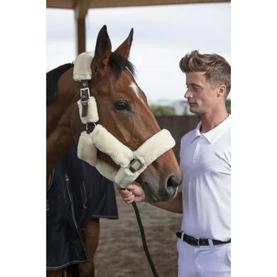 EQUITHÈME Polo Pro Series Rythm Heren Wit S/M 3 EQUITHÈME Polo Pro Series Rythm Heren Wit S/M - Afbeelding 3