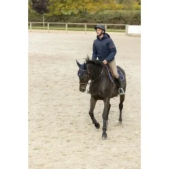 EQUITHÈME Jas Matt Heren Marineblauw S -Pikeur || Cavallo || Dublin Verkoopwinkel ekkia z07031 978 628 073 ambir5.6d22f3