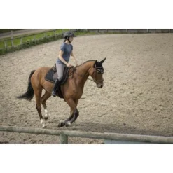 EQUITHÈME T-Shirt Pro Series Vibration Blauw -Pikeur || Cavallo || Dublin Verkoopwinkel ekkia z07891 963 063 192 ambi10.a994d0