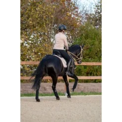 HKM Vest Yvonne Beige -Pikeur || Cavallo || Dublin Verkoopwinkel hkm 14094 2500141811420914180 14.e031f2