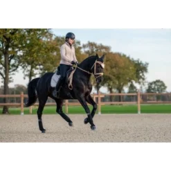 HKM Vest Yvonne Beige -Pikeur || Cavallo || Dublin Verkoopwinkel hkm 14094 2500141811420914180 6.d7a019