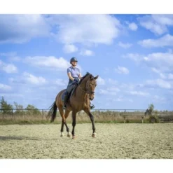 PK Polo Thorin Lolite -Pikeur || Cavallo || Dublin Verkoopwinkel pk thorin odeo liggend 1.195cd0