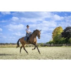 PK Polo Thorin Lolite -Pikeur || Cavallo || Dublin Verkoopwinkel pk thorin odeo liggend 3.7a7676