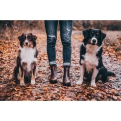 Suedwind Jodhpurs 1888 Chelsea Rusty Brown -Pikeur || Cavallo || Dublin Verkoopwinkel suedwind shopbildmxjihpbk7dlty 600x600.37f946