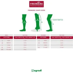 Premiere Chaps Taranto Volwassenen Bruin S -Pikeur || Cavallo || Dublin Verkoopwinkel tabelchaps chapssizes premiere taranto halfchapsapulia.94df70 3